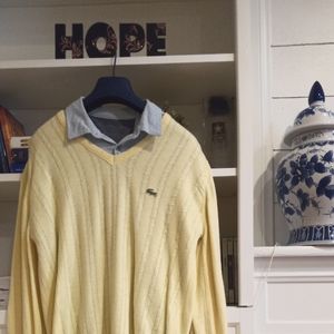 Mens Lacoste V-neck sweater